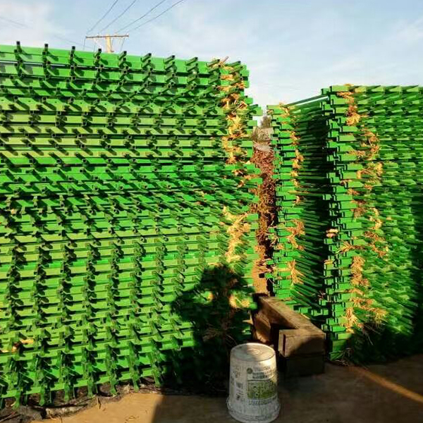 廠區展示